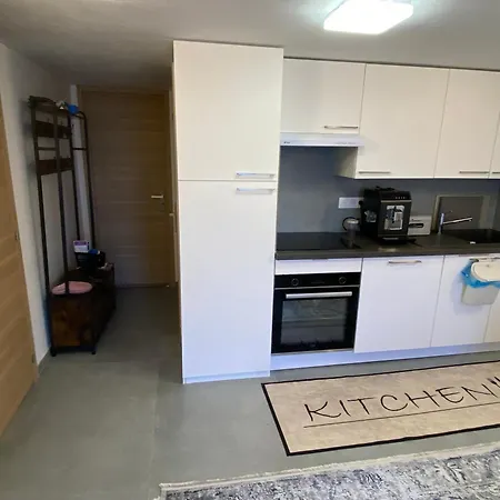 Cozy Ground Floor Xonrupt-Longemer