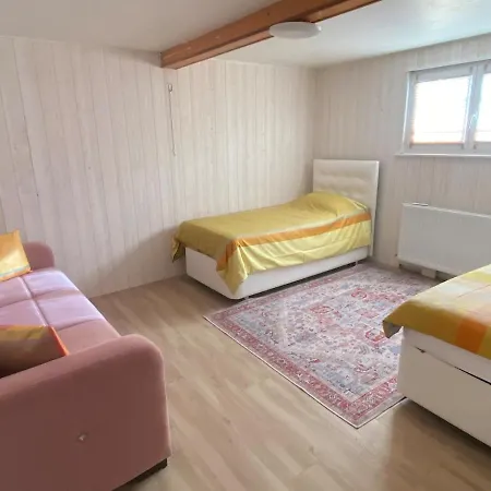 Apartment Cozy Ground Floor Xonrupt-Longemer