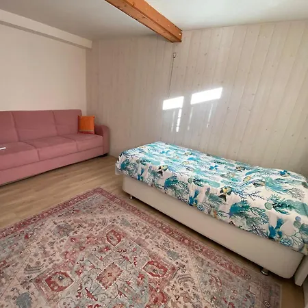 Cozy Ground Floor Apartmán Xonrupt-Longemer